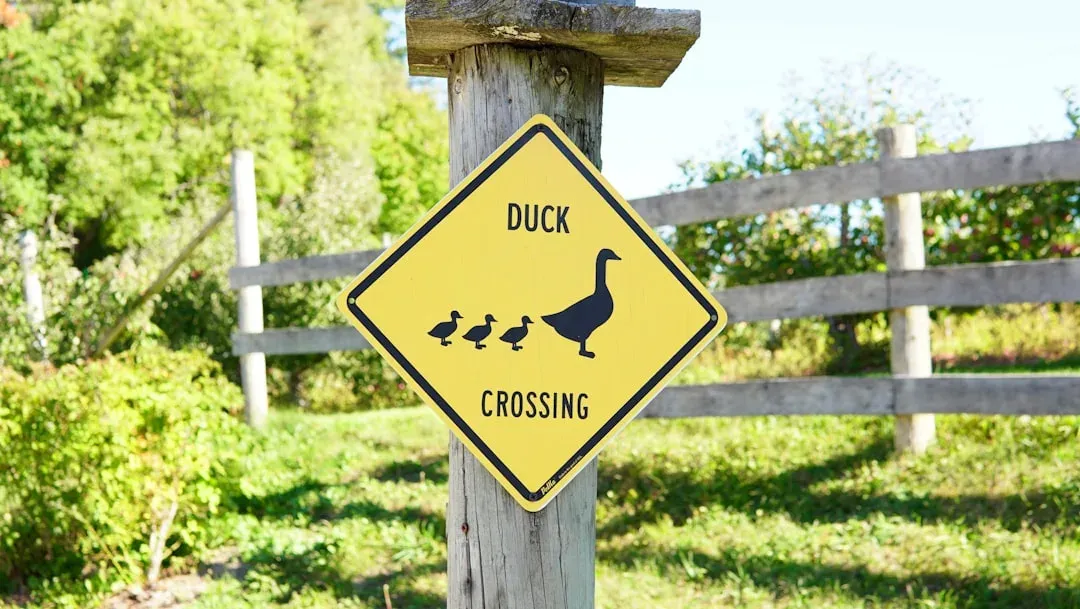 a wildlife crossing sign on the side of the road, 8-14 words