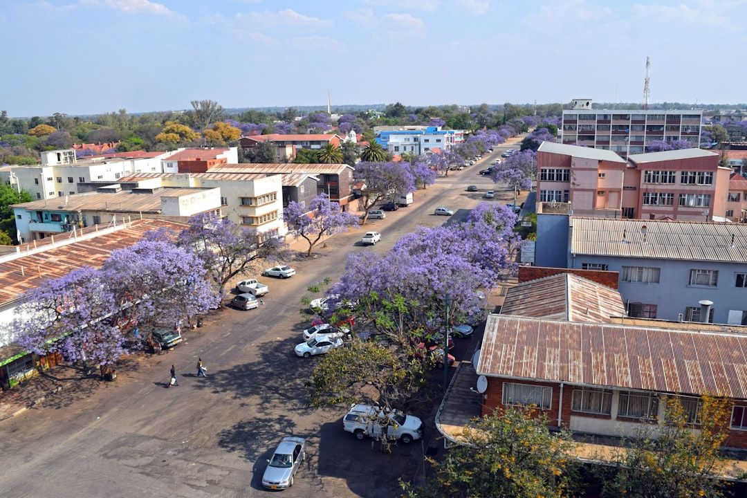 Zimbabwe street market local life