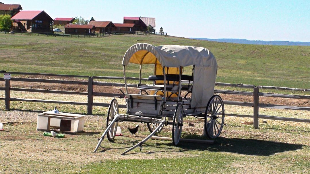 Going-to-the-Sun Road, Montana in Escalante